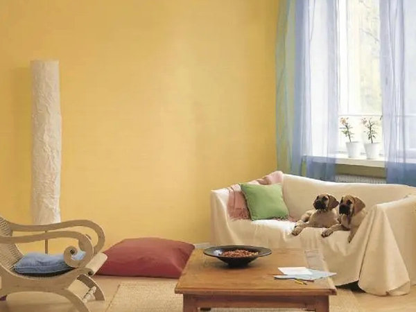 2020062578461017.jpg 2020062578461017.jpg